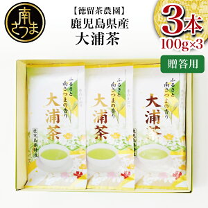 yӂ邳Ɣ[ŁzypzYΒ Y Ԓ 3{Zbg v300gi100g×3j Y   { Β t 삳܎s _ 