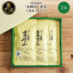 yӂ邳Ɣ[ŁzܒuREv3{Zbgi100g×3jnꐻ   Mtg  Y   { Β t 삳܎s 蕨 p Mtg 