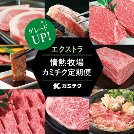 【ふるさと納税】【定期便 全12回】情熱牧場 鹿児島県産お肉の定期便 プレミアムコース 定期配送 お肉 ステーキ すき焼き しゃぶしゃぶ 国産 A5等級 ブランド 黒毛和牛 牛肉 豚肉 焼肉 定期便 送料無料 カミチク【2019年度ふるさと納税寄附額鹿児島県1位！南さつま市】