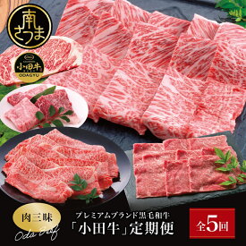 【ふるさと納税】【全5回】プレミアムブランド「小田牛」定期便［肉三昧］ 鹿児島県産 黒毛和牛 ステーキ リブステーキ すき焼き 焼肉 カタロース カルビ モモ ソース 冷凍 小田畜産 南さつま市 送料無料