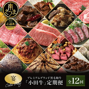 yӂ邳Ɣ[ŁzyS12zv~Auhucvցm``n Y јa Xe[L Ă ē Ă BBQ no[O [Xgr[t Lq 傤 Ĕ イ