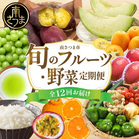【ふるさと納税】［定期便 全12回］旬のフルーツ・野菜定期便 旬が届くお楽しみ！鹿児島県産 果物 くだもの 柑橘/不知火/みかん/金柑/たんかん/お茶/新茶/米/コシヒカリ/ぶどう/シャインマスカット/紅はるか/完熟マンゴー/アールスメロン/特産品 定期お届け 1年間 南さつま市
