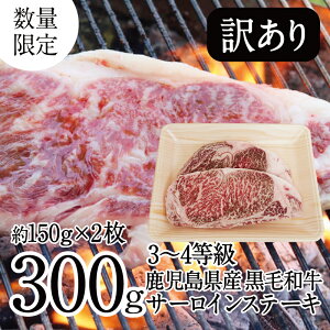 訳あり サーロイン ステーキの人気商品 通販 価格比較 価格 Com