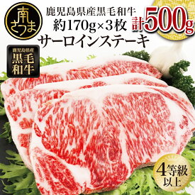 【ふるさと納税】【鹿児島県産】黒毛和牛 サーロインステーキ 500g (約170g×3枚) お肉 4等級以上 ステーキ バーベキュー 冷凍 送料無料