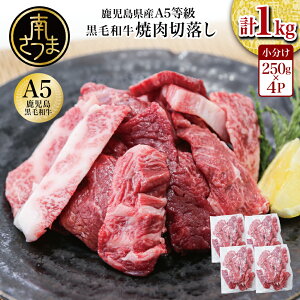 yӂ邳Ɣ[ŁzY A5 јa ē ؂藎Ƃ v1kgi250g×4PjY  a Y Ă ؗ ܂ TCYs BBQ o[xL[ pbN Ⓚ J~`N 삳