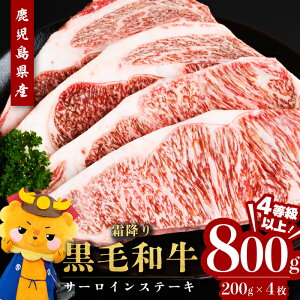 yӂ邳Ɣ[ŁzyʌzYјaT[CXe[L(200g×4Ev800g) јa  A4 T[C Xe[L ʌ BY YyTL[~[gzb7-011