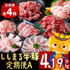 【ふるさと納税】【定期便全4回】ししまる牛・豚定期便A(4ヶ月連続・計4.19kg以上) 黒毛和牛 黒豚 国産牛 九州産 豚 豚肉 肉 牛肉 国産 小分け 真空包装 冷凍【サンキョーミート】t0044-006