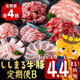 【ふるさと納税】【定期便全4回】ししまる牛・豚定期便B(4ヶ月連続・約4.4kg) 黒毛和牛 国産牛 九州産 豚 豚肉 肉 牛肉 国産 4等級 小分け 真空包装 冷凍【サンキョーミート】t0050-021