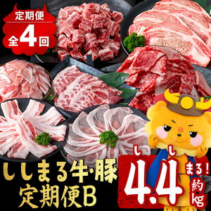 yӂ邳Ɣ[Łzy֑S4z܂鋍EؒB(4AE4.4kg) јa Y BY  ؓ   Y 4  ^ ⓀyTL[~[gzt0050-021