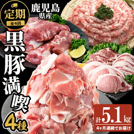 【ふるさと納税】【定期便全4回】 鹿児島県産黒豚の満喫定期便(計5.1kg) 国産 鹿児島県産 黒豚 肉 豚肉 しゃぶしゃぶ ヒレ 豚ヒレ ヒレ肉 ひれかつ 豚カツ トンカツ トンテキ ブロック 定期便 小分け 食べ比べ セット【サンキョーミート】t0058-004