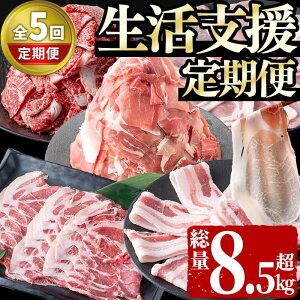 yӂ邳Ɣ[Łzy֑S5zx(5AE8.5kgȏ) Y BY  ؓ   Y Ԃ ؃o јa ؂藎 e lC  ^yT