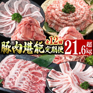 yӂ邳Ɣ[Łzy֑S12zؓ\(12AE21.6kgȏ) 1NԂɂ킽Ď̂͂Iؓ  Y BY Ԃ ē ؃o [X ؂藎 e 