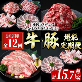 【ふるさと納税】【定期便全12回】牛・豚堪能定期便(12ヶ月連続・計15.7kg超) 黒毛和牛 国産牛 九州産 豚 豚肉 肉 牛肉 国産 4等級 訳あり 小分け 真空包装 冷凍【サンキョーミート】t0194-002