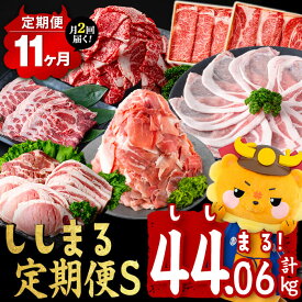 【ふるさと納税】【定期便11ヶ月】ししまる定期便S(11ヶ月連続 月1～2回お届け！・計44.06kg) 黒毛和牛 黒豚 国産牛 九州産 豚 豚肉 肉 牛肉 国産 4等級 小分け 真空包装 冷凍【サンキョーミート】t0372-001