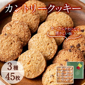 【ふるさと納税】カントリークッキー15袋・計45枚(1袋あたり3枚入)アーモンド＆ウォールナッツ＆チョコチップ！オーガニックのオートミール(オーツ麦100％)を使用した健康的なお菓子♪子どものおやつやプチギフトにも【ケーキハウスカネヤマ】a3-182