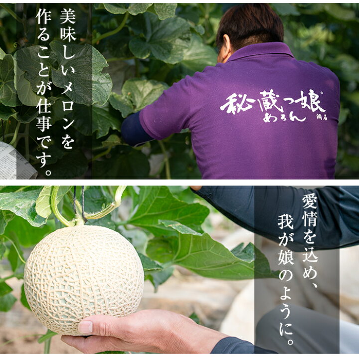 楽天市場 ふるさと納税 春限定メロン 先行予約受付中 22年3月中旬 5月上旬頃発送予定 極上 鹿児島県志布志産の高級メロン 秘蔵っ娘 赤玉1個 1 4kg以上 国産の安心安全 美味しい高級フルーツのマスクメロン ファームランド牧 A5 060 A5 113