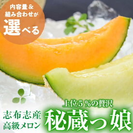 【ふるさと納税】【内容量&組み合わせが選べる】極上！鹿児島県志布志産高級メロン『秘蔵っ娘』(1玉1.4kg以上)国産の安心安全、美味しい高級フルーツのマスクメロン2種食べ比べ メロン マスクメロン 果物 フルーツ くだもの 青肉 赤肉【ファームランド牧】