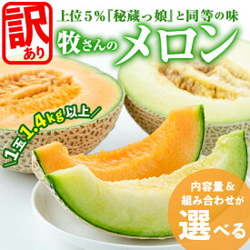 【ふるさと納税】【内容量&組み合わせが選べる】【訳あり・数量限定】牧さんの訳ありメロン！(1玉1.4kg以上)鹿児島県志布志市産！マスクメロン メロン 果物 フルーツ くだもの デザート 青肉 赤肉 訳あり【ファームランド牧】