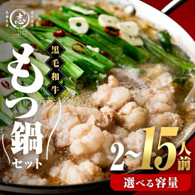 【ふるさと納税】【内容量が選べる！】国産黒毛和牛ホルモン もつ鍋セット(2〜15人前) 黒毛和牛 肉 牛肉 国産 もつ鍋 モツ鍋 ホルモン タレ 鍋 焼肉 バーべキュー 小分け【ナンチク】