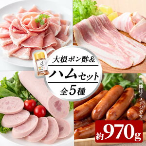 yӂ邳Ɣ[ŁzY؎gpIn5큕卪|YZbg970g({XnXCX100gEx[RXCX100gE|[N\[Z[W200gEn؂藎Ƃ75gEr҂ECi[500gE卪|