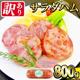 【ふるさと納税】【業務用・訳あり】サラダハム(800g) ハム 国産 豚肉 塩漬 熟成 プレスハム 肉加工品 訳アリ 業務用 サラダ トッピング ハムカツ ハムステーキ ステーキ【ナンチク】a0-372