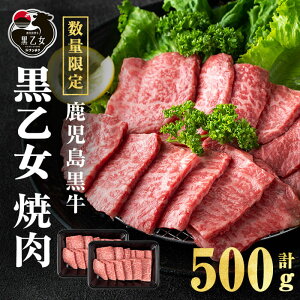 yӂ邳Ɣ[Łz  ē (v500gE250g×2P)  ē Y  Y  yi`Nza3-234