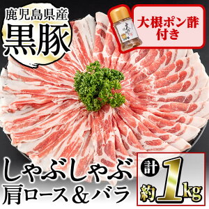 yӂ邳Ɣ[Łz؂̎{{IY؂Ԃ2큕卪|YZbgv1kg(J^[X500gEo500gE170g) ₵ Ԃ XCX [X ؃o 
