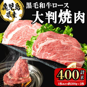 yӂ邳Ɣ[ŁzY јa唻[X(1200g×2 v400g)   Y  јa [X ē BBQ S SĂ ē 唻 Ⓚyi`Nza5-333