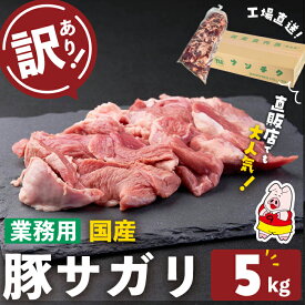 【ふるさと納税】【訳あり・業務用】希少部位！！国産豚サガリ(計5kg) 国産 豚肉 豚肉 豚 肉 冷凍 5kg 訳あり 業務用 サガリ つまみ おつまみ 炒め物 焼肉 BBQ 赤身 カレー シチュー 煮込み ハラミ 【ナンチク】a7-026