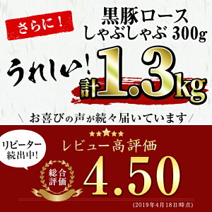 【ふるさと納税】和牛日本一!鹿児島黒毛和牛ロースステーキ・鹿児島黒豚ロースステーキセット<計1kg>に黒豚ロースしゃぶしゃぶ300gで<牛肉・豚肉合計1.3kg>【ナンチク】B0-011