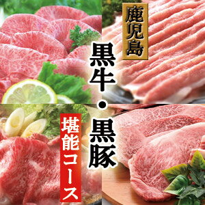 【ふるさと納税】お肉の定期便Be-504