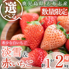 【ふるさと納税】〈先行予約受付中！〉【セット内容と内容量が選べる！】【数量限定】鹿児島県産いちご！淡雪・赤いちご（計1～2kg・約270g×4P～8P）選べる 白いちご 淡雪 赤いちご いちご 苺 イチゴ セット 食べ比べ 1kg 2kg 志布志市【農life】