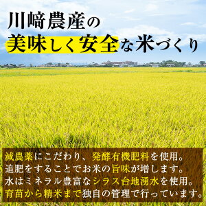 【ふるさと納税】<玄米>鹿児島県産なつほのか(計9kg・4.5kg×2袋)ご要望の多かった川崎さん自慢のおいしいお米(玄米)をお届け!【川崎農産】P8-039