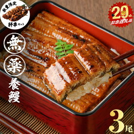 【ふるさと納税】【志布志市制20周年記念】【無薬養鰻】 鹿児島産 山田のうなぎ ＜計480g以上＞（160g以上×3尾） 肝串セット うなぎ 鰻 ウナギ 無薬 養鰻 無投薬 3尾 国産 九州産 蒲焼き かばやき 冷凍 うな重 ひつまぶし タレ 山椒 ランキング 人気【山田水産】a6-062