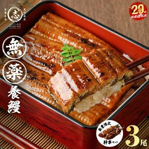 【無薬養鰻】 鹿児島産 山田のうなぎ ＜計480g以上＞(...