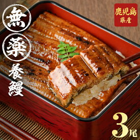 【ふるさと納税】【無薬養鰻】 鹿児島産 山田のうなぎ ＜計480g以上＞(160g以上×3尾) うなぎ 鰻 ウナギ 無薬 養鰻 無投薬 国産 九州産 蒲焼き かばやき 冷凍 うな重 ランキング 人気【山田水産】a6-062