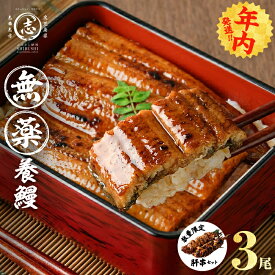 【ふるさと納税】【年内発送】【無薬養鰻】 鹿児島産 山田のうなぎ ＜計480g以上＞(160g以上×3尾 肝串セット ※ポータル限定) うなぎ 鰻 ウナギ 無薬 養鰻 無投薬 国産 九州産 蒲焼き かばやき 冷凍 うな重 ランキング 人気【志布志市制20周年記念】【山田水産】a6-062