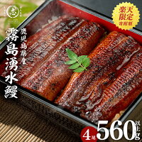 【志布志市うなぎ人気No.1返礼品】霧島湧水鰻5尾が4尾になって登場！山田...