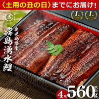 【2026年丑の日早期予約受付中】【志布志市うなぎ人気No.1返礼品】霧島...