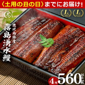 【ふるさと納税】 鹿児島 県産 霧島湧水鰻＜4尾 計560g＞(1尾140g) うなぎ 鰻 ウナギ 4尾 国産 蒲焼 かばやき 冷凍 惣菜 うな重 ひつまぶし ランキング 人気【志布志市観光特産品協会】a6-078