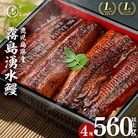 【ふるさと納税】 鹿児島 県産 霧島湧水鰻＜4尾 計560g＞(1尾140g) うなぎ 鰻 ウナギ 4尾 国産 蒲焼 かばやき 冷凍 惣菜 うな重 ひつまぶし ランキング 人気【志布志市観光特産品協会】a6-078