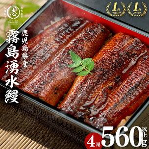 鹿児島 県産 霧島湧水鰻＜4尾 計560g＞(1尾140...