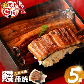 【ふるさと納税】【高評価★4.81】 国産 八本木樽鰻の蒲焼(160g以上×5尾)うなぎ 鰻 ウナギ 5尾 国産 九州産 蒲焼き かばやき 冷凍 うな丼 うな重 ひつまぶし タレ 山椒 ランキング 人気【山田水産】b7-025