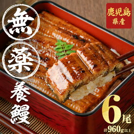 【ふるさと納税】【志布志市制20周年記念】【無薬養鰻】 鹿児島産 山田のうなぎ ＜計960g以上＞ (160g以上×6尾) うなぎ 鰻 ウナギ 無薬 養鰻 無投薬 6尾 国産 九州産 蒲焼き かばやき 冷凍 うな重 ひつまぶし タレ 山椒【山田水産】c2-014