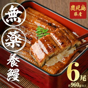 【無薬養鰻】 鹿児島産 山田のうなぎ ＜計960g以上＞ ...