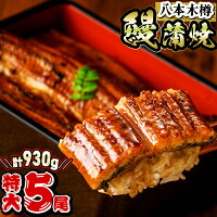 【ふるさと納税】 特大! 国産 八本木樽鰻の蒲焼(186g以上×5尾)うな...