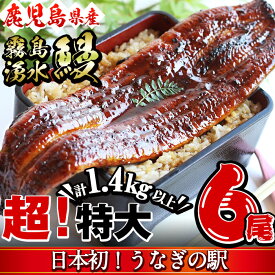 【ふるさと納税】【志布志市制20周年記念】【数量限定】超特大！鹿児島県産 山田水産の霧島湧水鰻(計1400g以上・236g以上×6尾) うなぎ 鰻 ウナギ 6尾 国産 九州産 蒲焼き かばやき 冷凍 うな重 ひつまぶし タレ 山椒 ランキング 人気【山田水産】c5-039