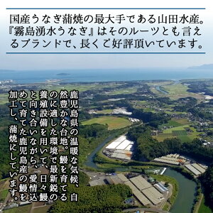 【ふるさと納税】うなぎ生産量日本一の鹿児島県!志布志市産の霧島湧水鰻大サイズ156g以上×4尾<計620g以上>国産で安心!清らかな湧水で育ったウナギの蒲焼き!タレ・山椒付き【志布志市観光特産品協会】B0-008