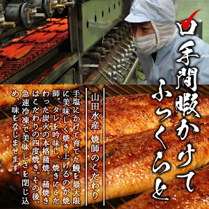 【ふるさと納税】うなぎ生産量日本一の鹿児島県!志布志市産の霧島湧水鰻大サイズ156g以上×4尾<計620g以上>国産で安心!清らかな湧水で育ったウナギの蒲焼き!タレ・山椒付き【志布志市観光特産品協会】B0-008