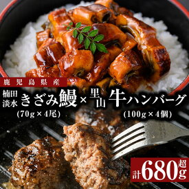 【ふるさと納税】里山牛ハンバーグ＆きざみうなぎセット (総計680g以上) うなぎ 鰻 ウナギ 蒲焼き 真空パック うな丼 鰻重 牛 牛肉 鹿児島県産 国産 ハンバーグ 100%【志布志市観光特産品協会】b0-188